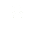 Ants and Other Small Pests