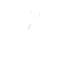 Fleas/Ticks