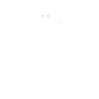 Rodents